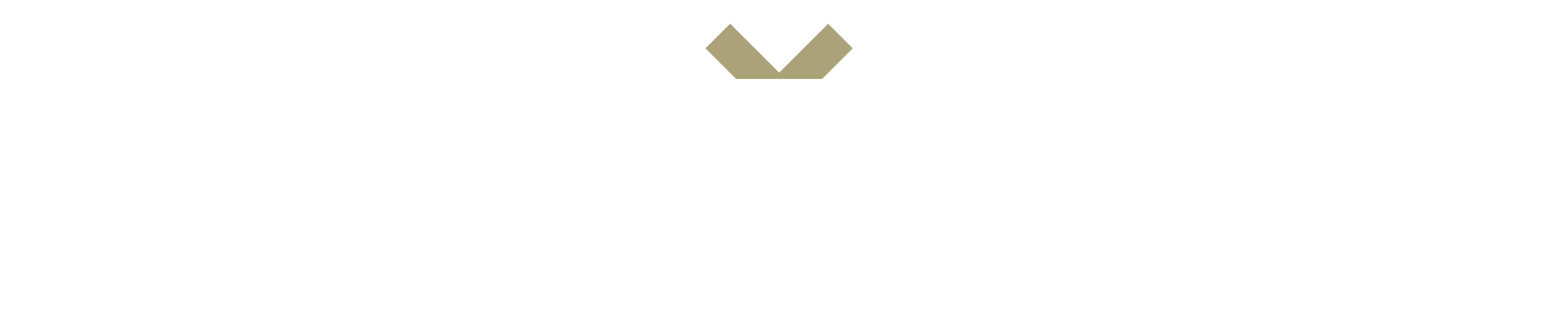 Haditi Logo